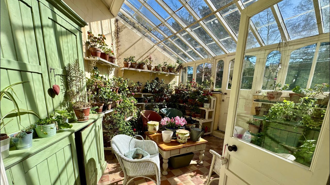 Old Conservatory Plant Care & Tidy Up | Clean With Kate-Flylady Zone 1  #plantcare #conservatory