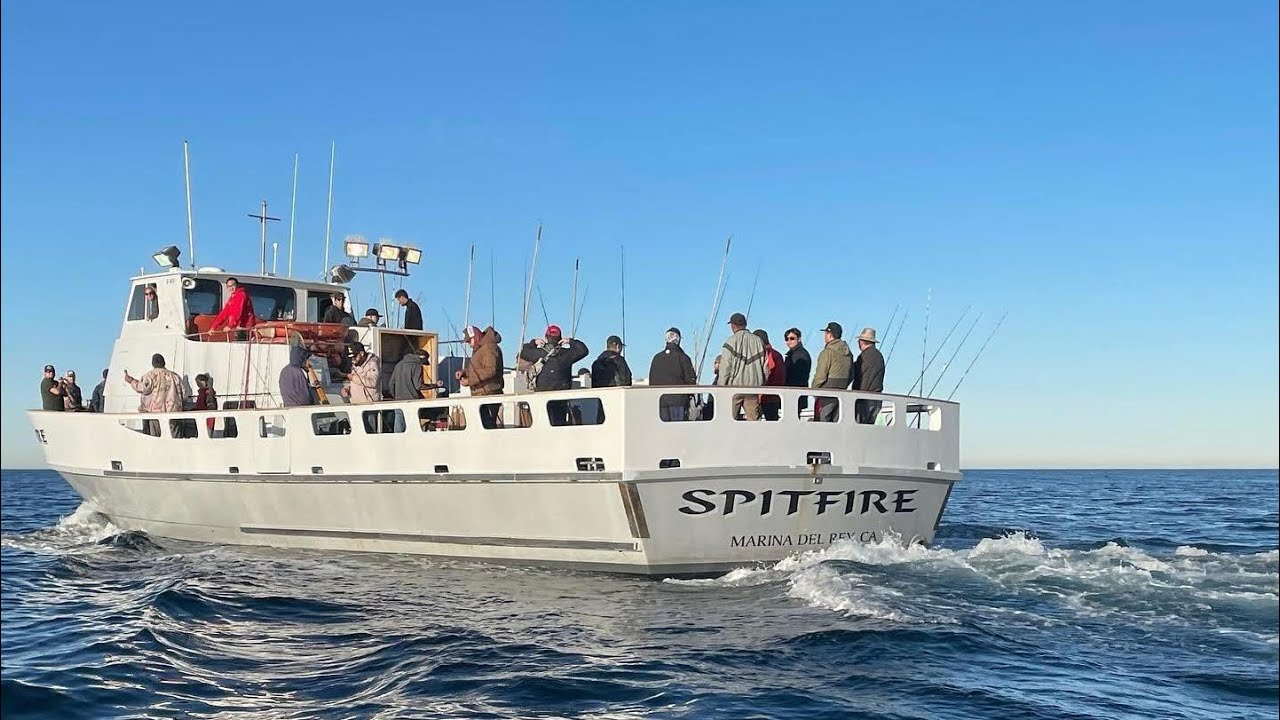Spitfire, Marina Del Rey, Bass Action, 5-28-2025.