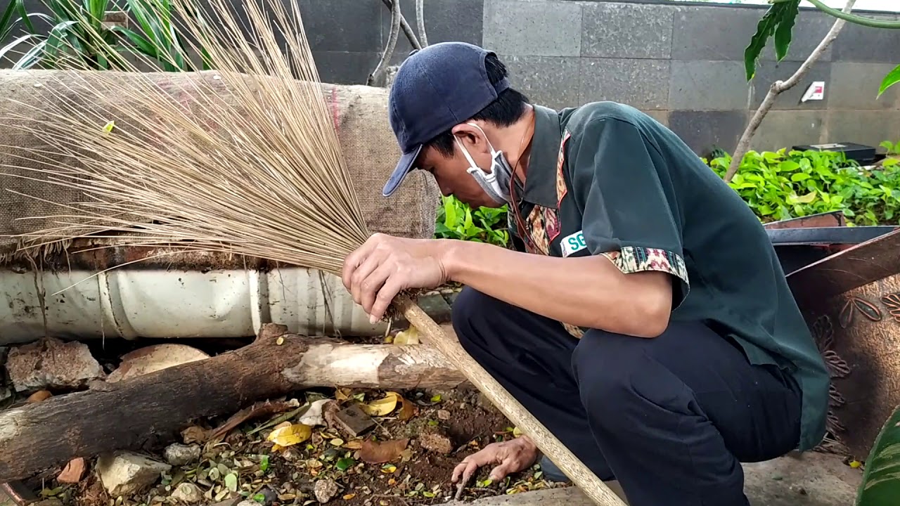 cara buat sapu lidi supaya mekar dan enteng
