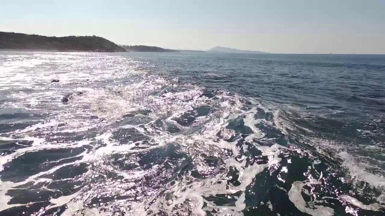 Surfers from the sky in Acotz (drone footage)