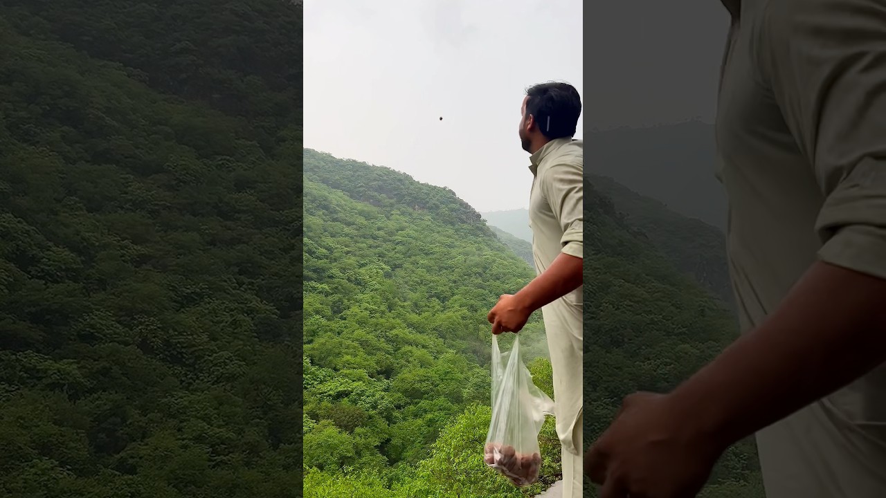 Seeds ball. How to make seeds ball. Free distributing. #seedball #howto #greenery #pakistan #fyp