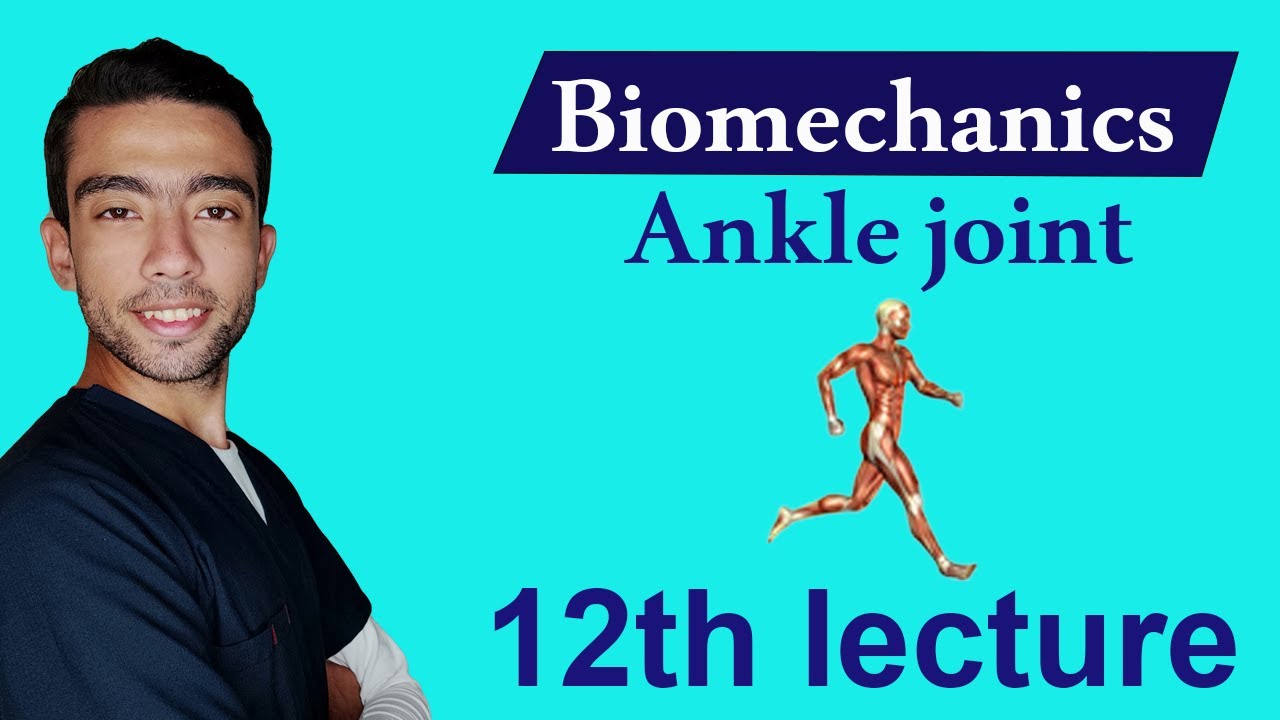 شرح Biomechanics of ankle joint (part 2)