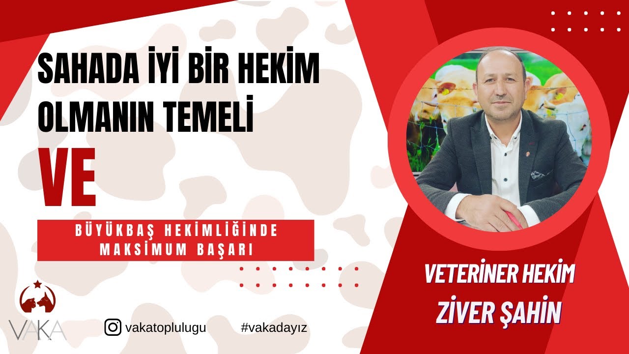 Veteriner Hekim Ziver Şahin ile Sahada İyi bir Veteriner Hekim Olmanın Temeli ve Maksimum Başarı