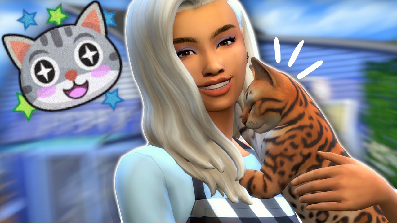 J’essaie de construire un bar à chats !🐱☕ || Sims 4