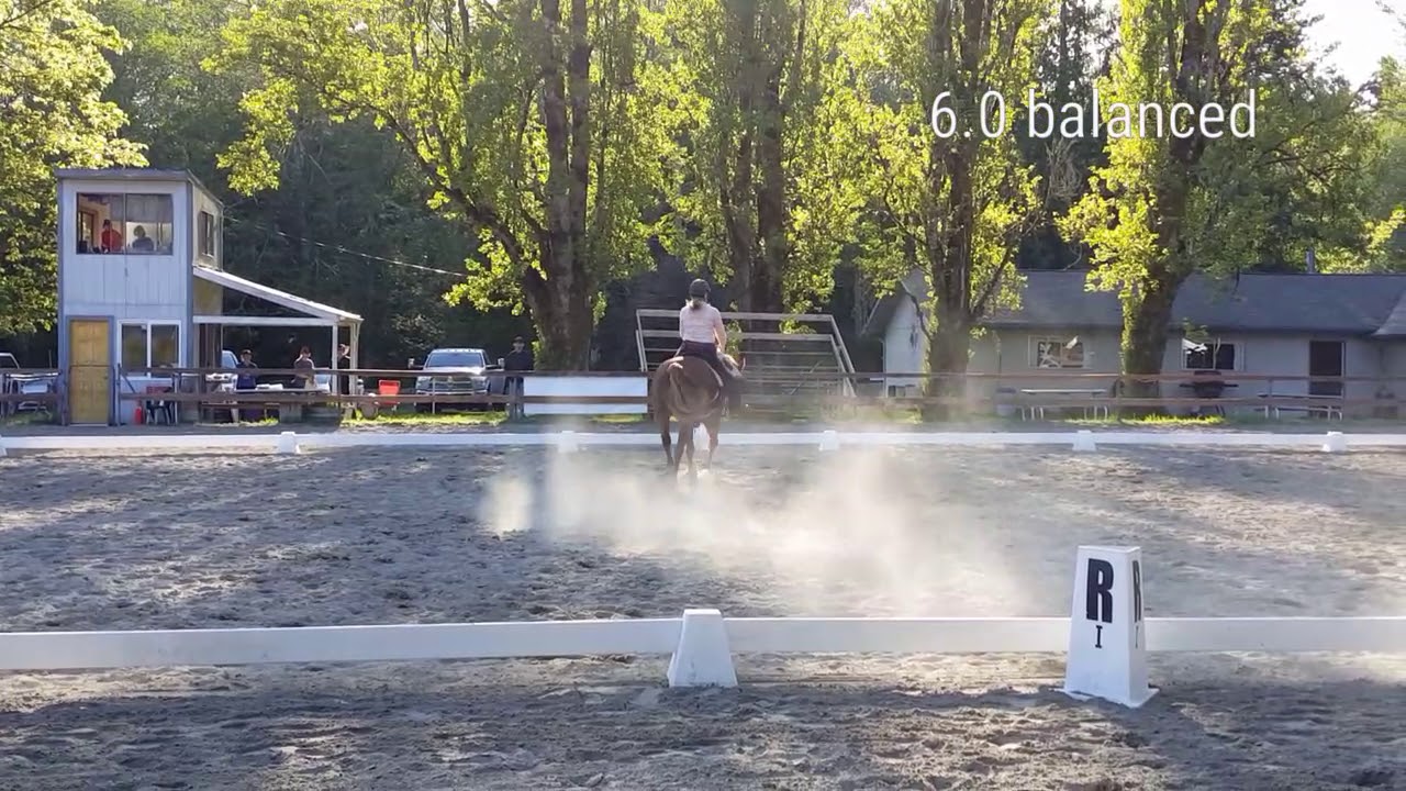 LPSDC western dressage basic test 1