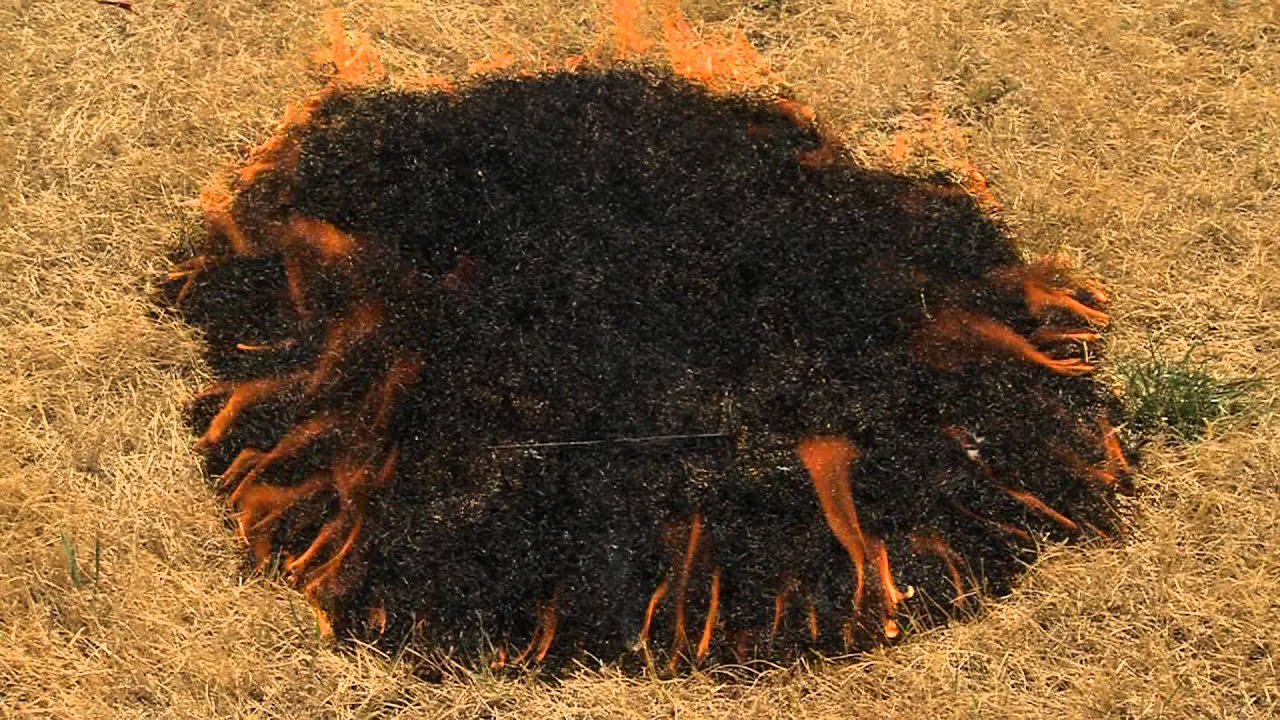 Fire caused by a sparkler and dry grass