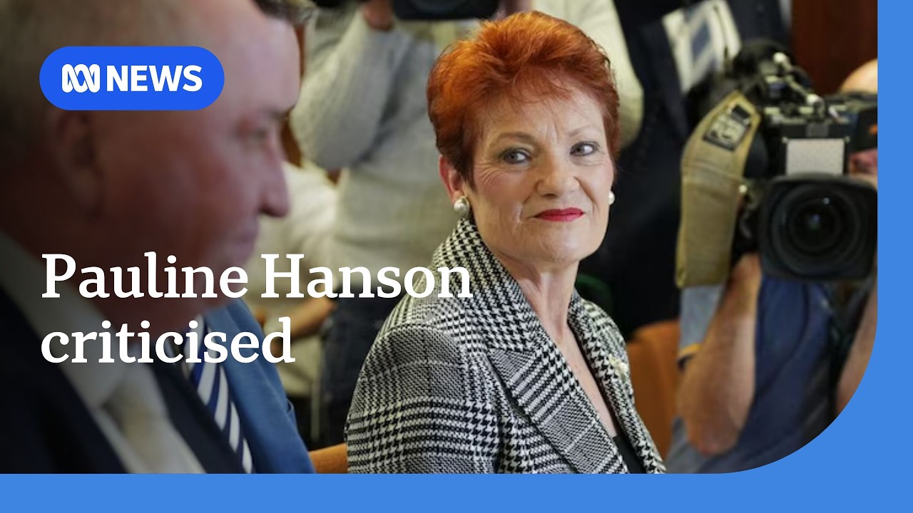 Coalition and Labor MPs criticise Pauline Hanson&rsquo;s Press Club address | ABC NEWS