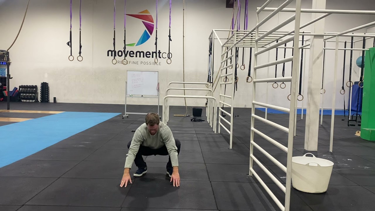 Beginner QDR push up