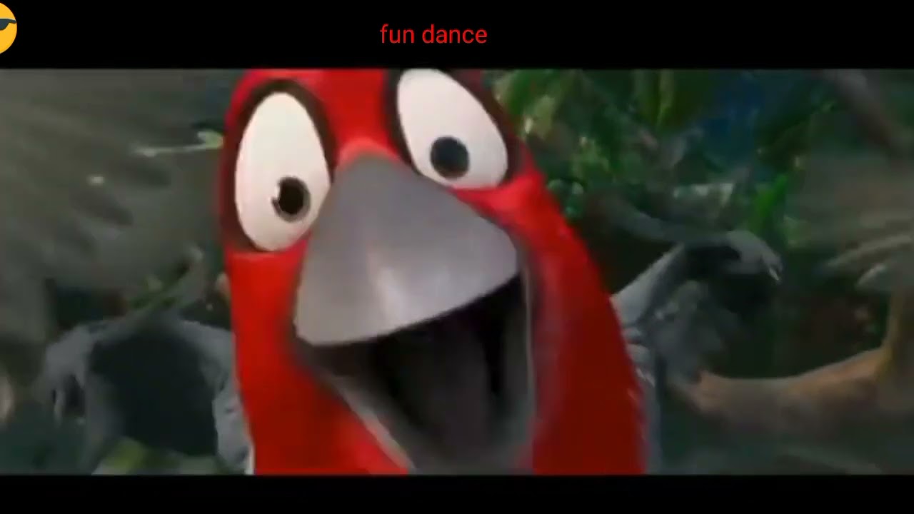 Beautiful Bird pop song ( Funny birds dance) #birds #birdwatching