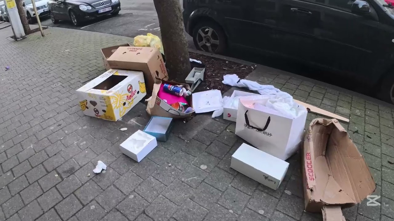 BruxellesISTAN, Rien ne va, Poubelles partout, voitures sur le trottoirs, SUBIR ou VIVRE ensemble