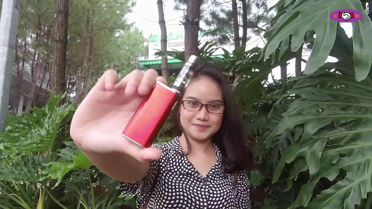 Eleaf iStick Trim 1800mAh Impression by Easy Buy Store