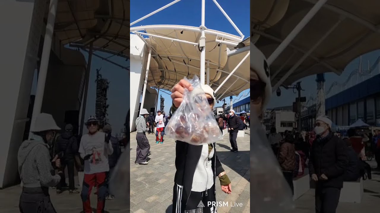 라이브테스트