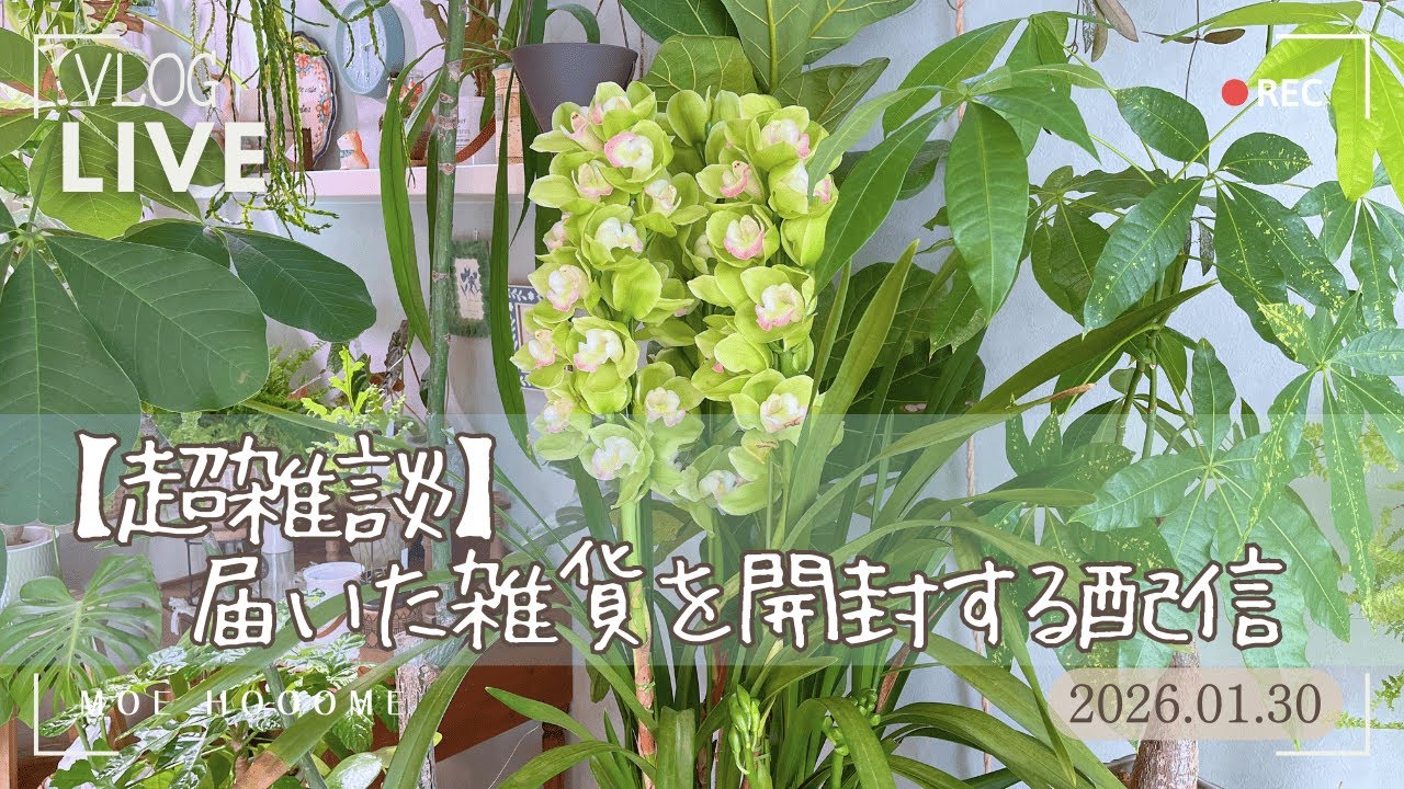 【雑談】最近購入した雑貨を開封しながら雑談LIVE配信