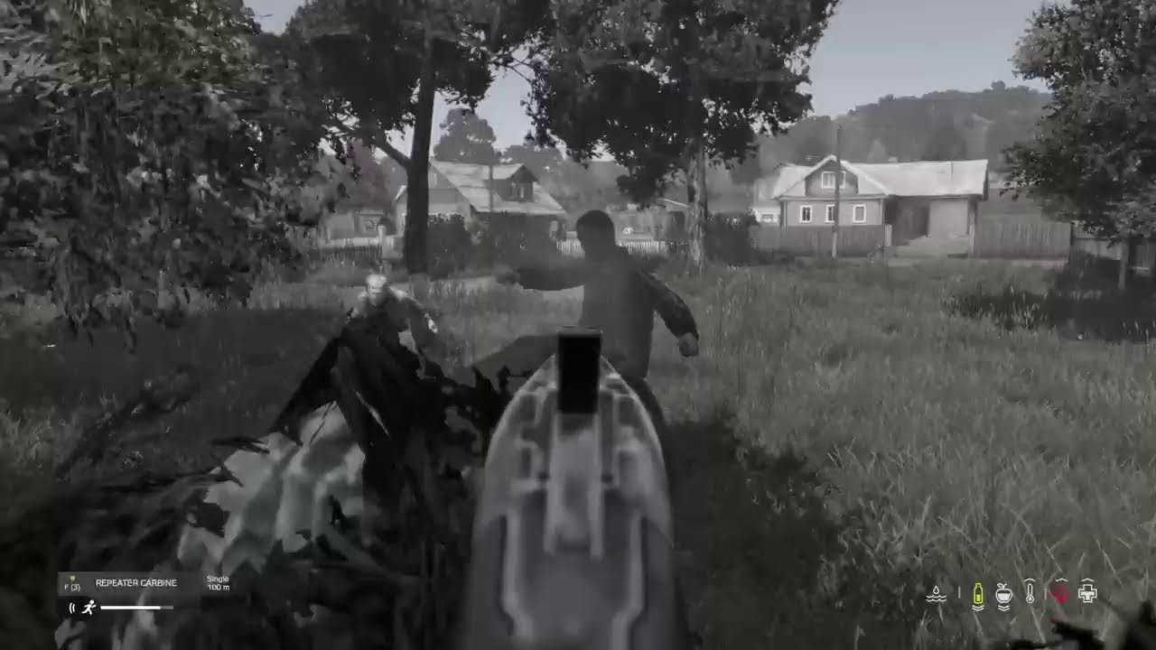 Surviving chernarus in vanilla+ Dayz