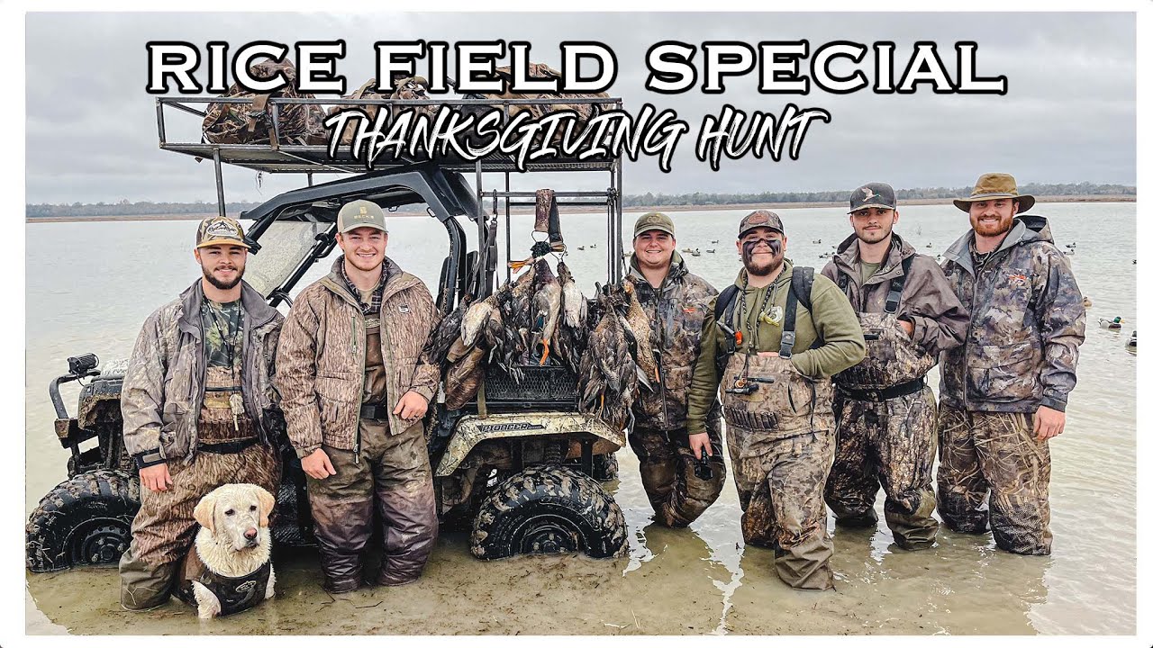 5 Man Limit in a RICE FIELD // Louisiana Duck Hunting // Ep. 2