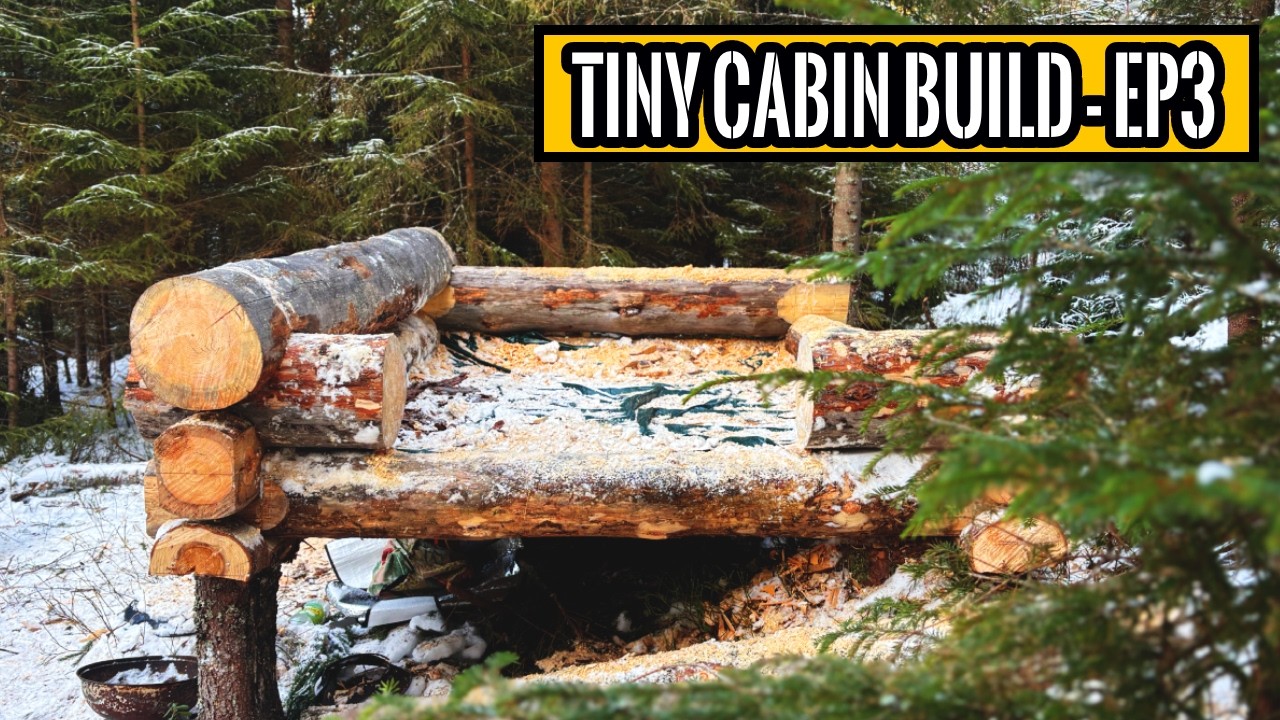 The reality of Building A Log Cabin | Swedish Log Cabin ep 3