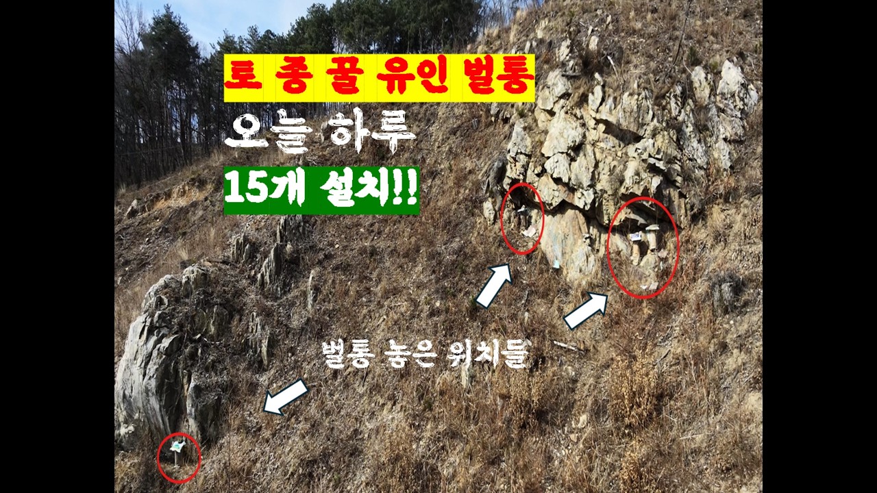 [황금이네] 하루 15개 벌통 설치 브이로그!! 아침부터 저녁까지 토종꿀 유인 벌통 설치 리얼 현장