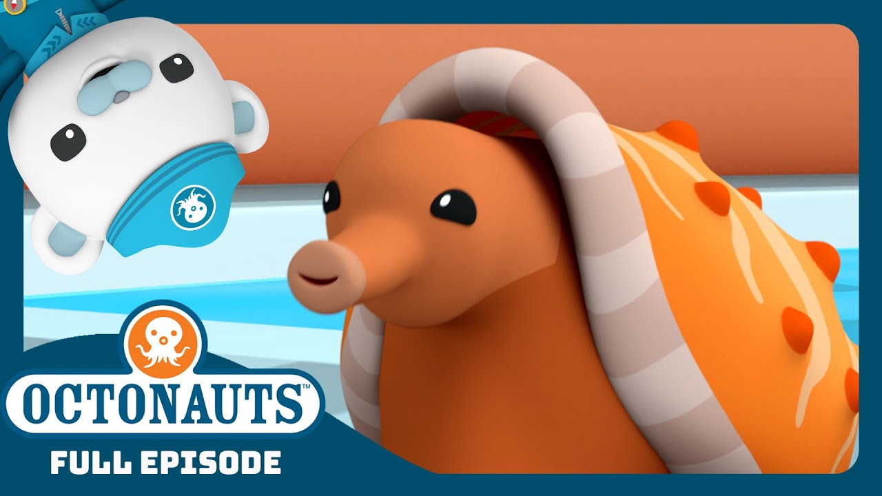 ‪@Octonauts‬