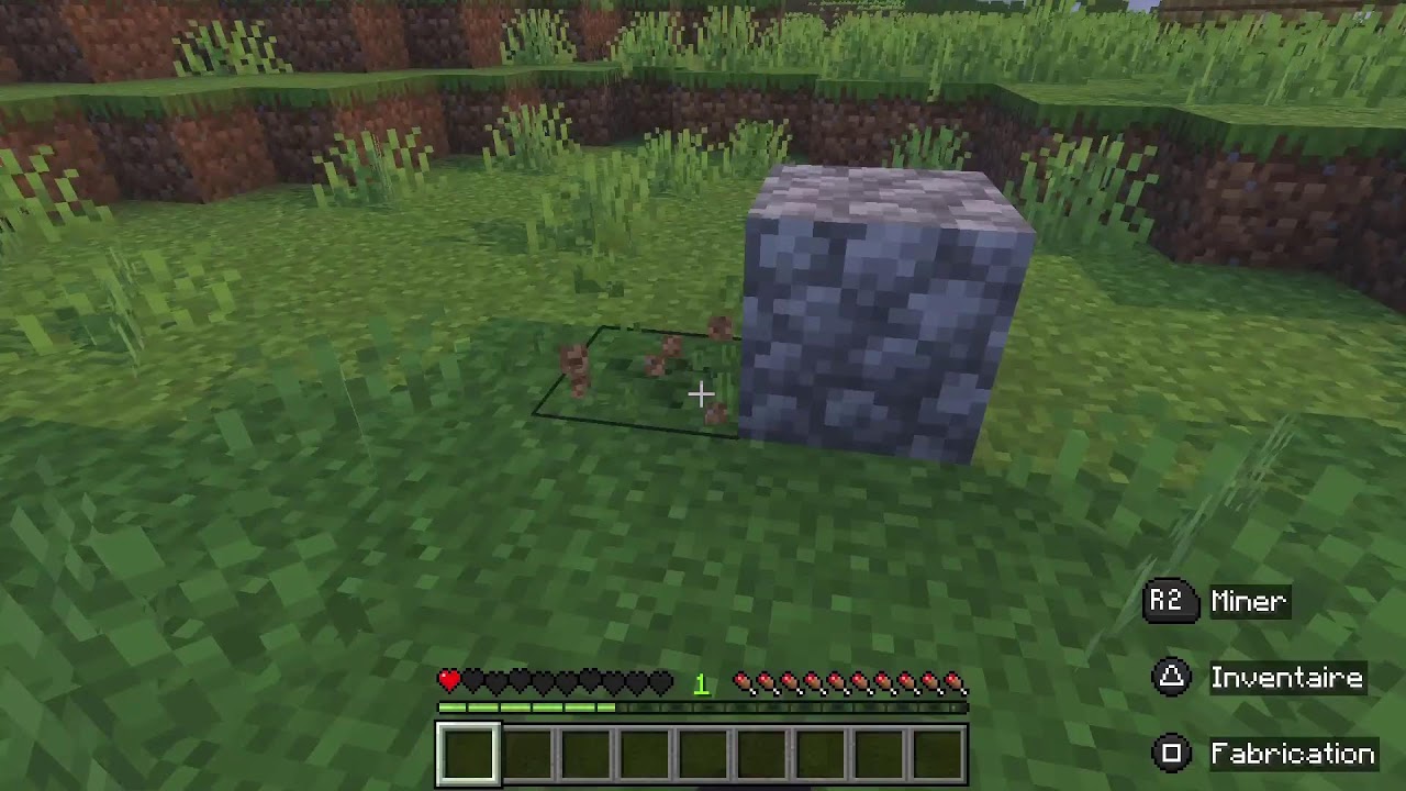 Mincraft