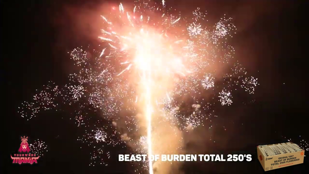 Beast of Burden Total 250 shots - Geisha - Vuurwerkmania - 1667