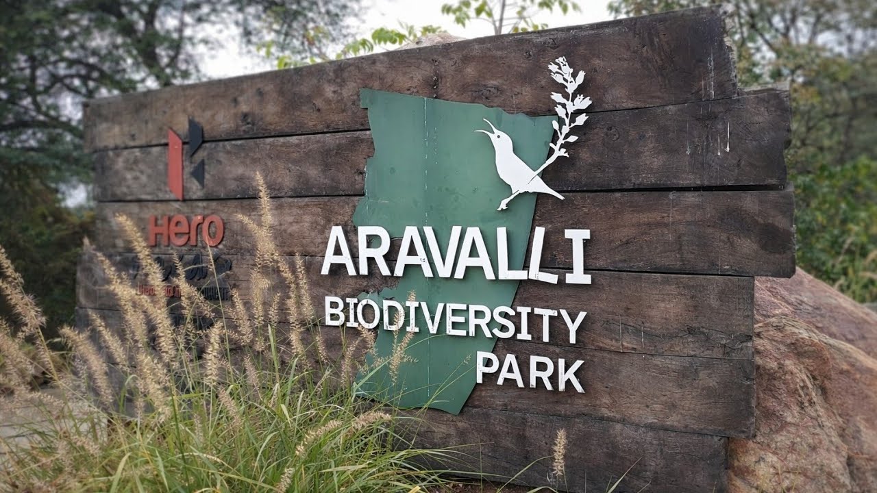 Aravali Biodiversity Park Delhi 🌿 Silent Walking Tour | Nature Sounds | Life Long Traveller | Walk