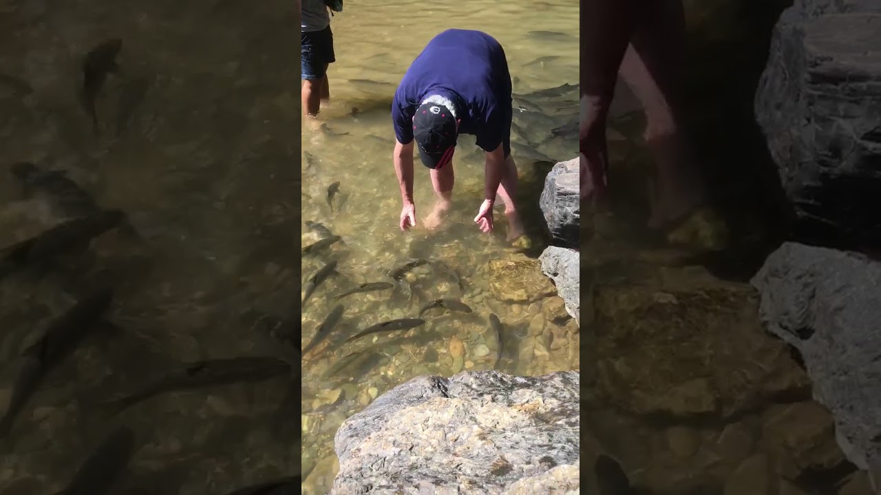 Cascade Thaïlande Khao Lak 2018