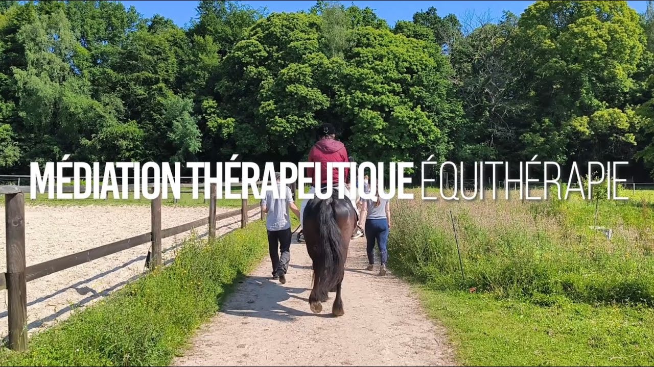 Médiation équithérapie