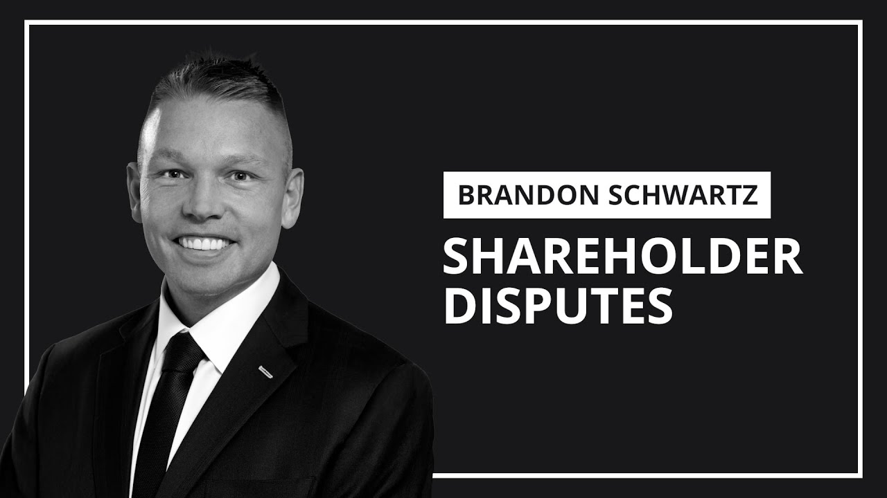 Shareholder Disputes | Brandon Schwartz