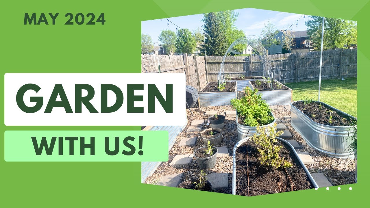 Minnesota Arch Garden- Let's get started!  May 2024