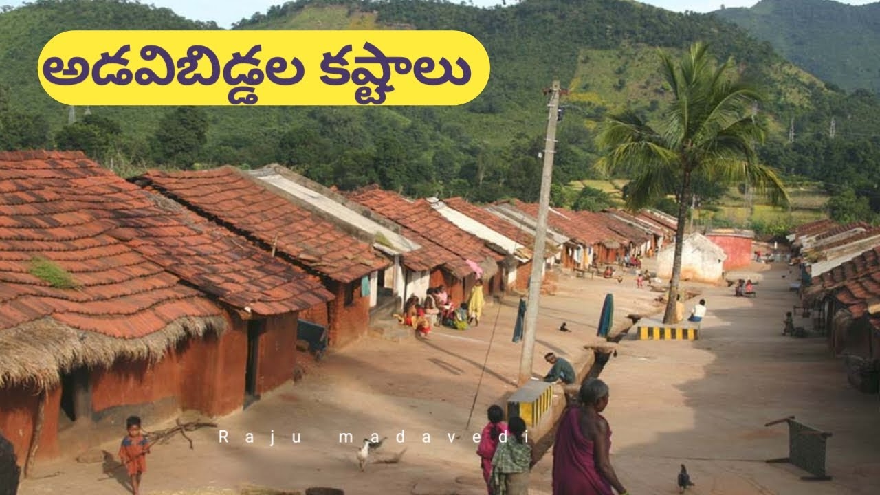 అడవి బిడ్డల కష్టాలు ||Tribal people problem's in forest ||Raju Madavedi