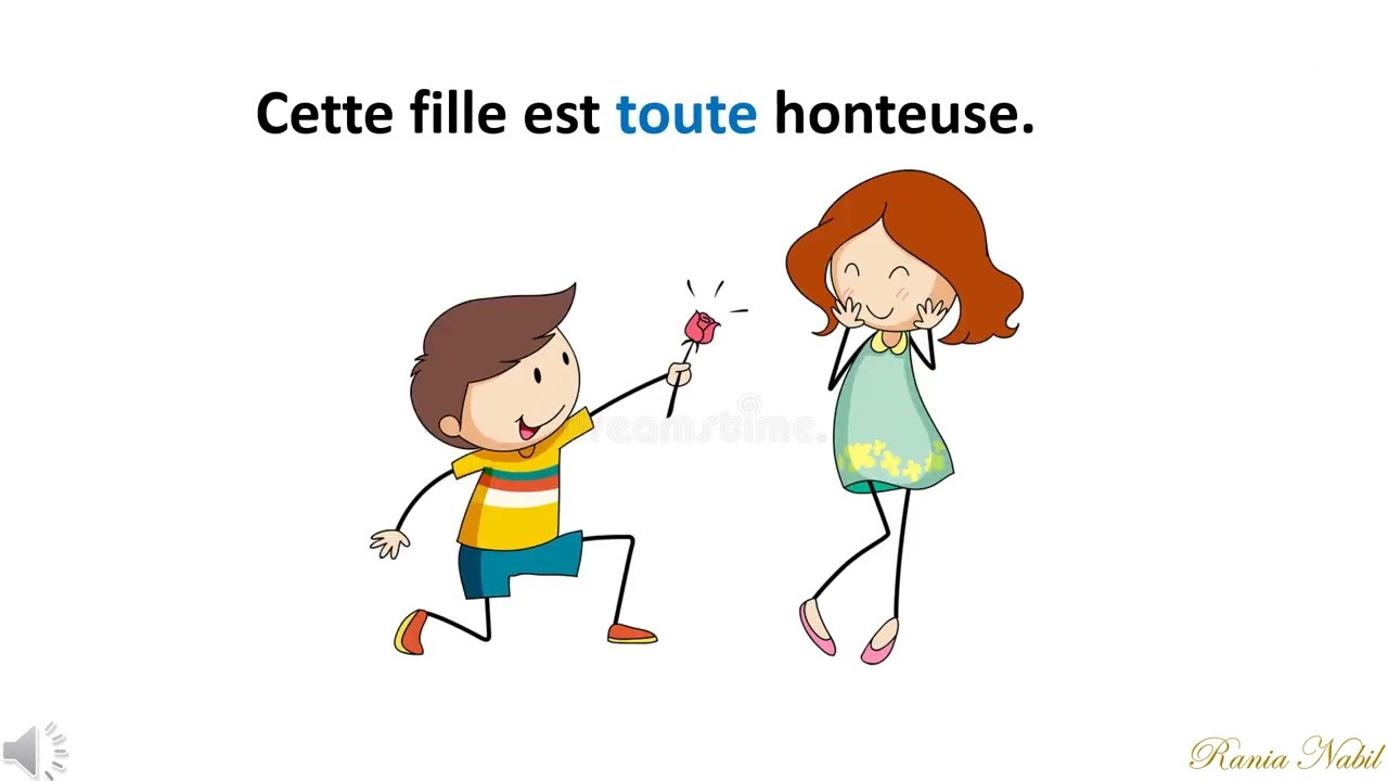 Tout,tous,toute,toutes