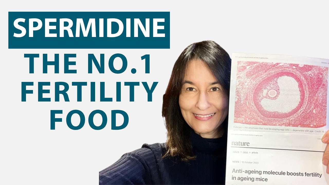 Spermidine: The No.1 Fertility Food for Improving Egg Quality In Older Women