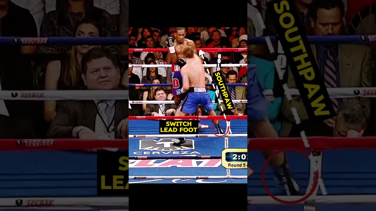 Switching Stance That Leads to a Brutal KO 🥊