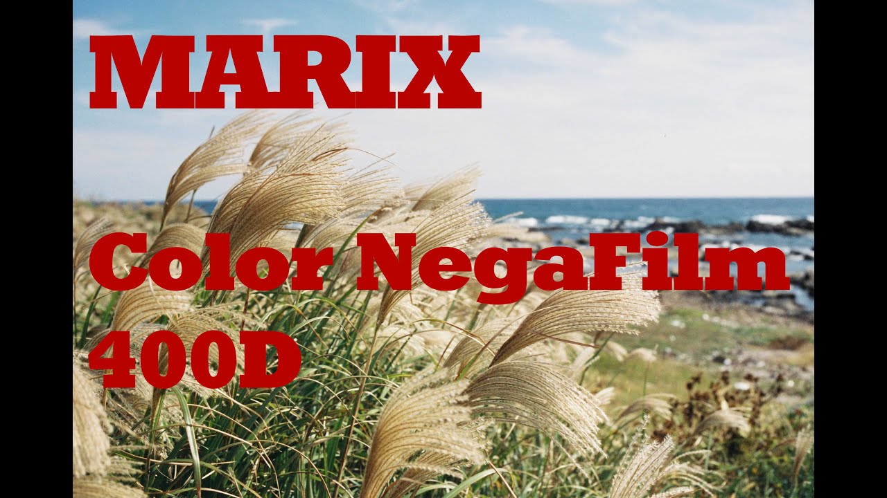 MARIX Color NegaFilm 400Dを使って撮影してきました。