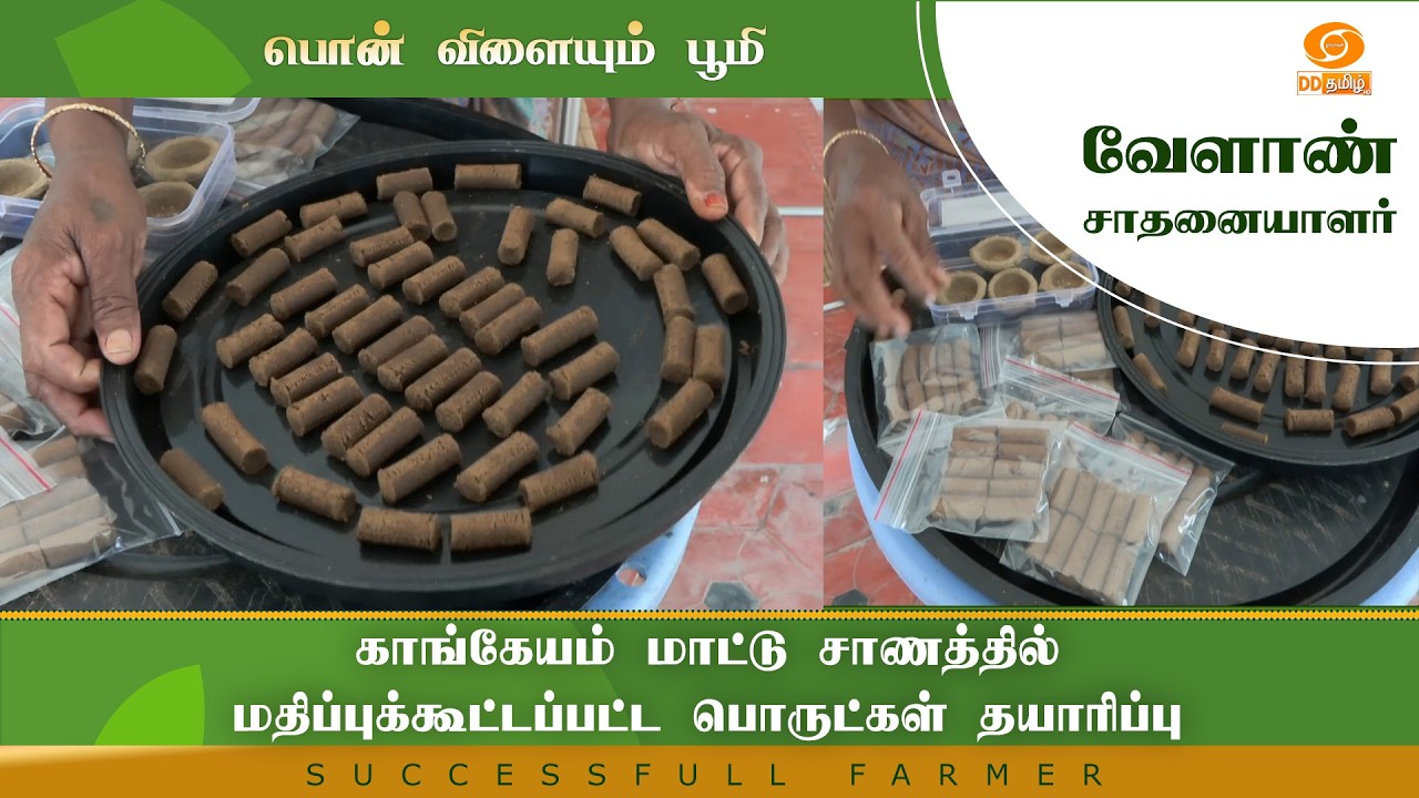 காங்கேயம் மாட்டு சாணத்தில் மதிப்புக்கூட்டப்பட்ட பொருட்கள் தயாரிப்பு|Successful Farmer #farming #farm
