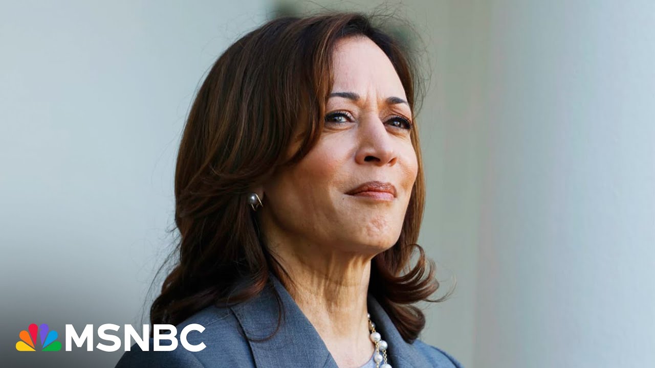 ‘Kamala Harris is the story right now’ whether she is VP or the Democratic nominee: Pres. historian