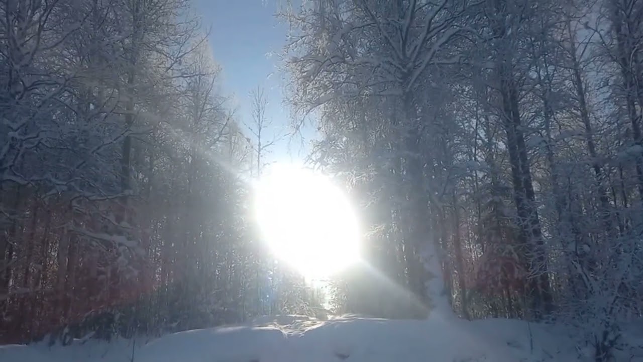 9 Воскресная прогулка в морозный деньмарта 2026 г.