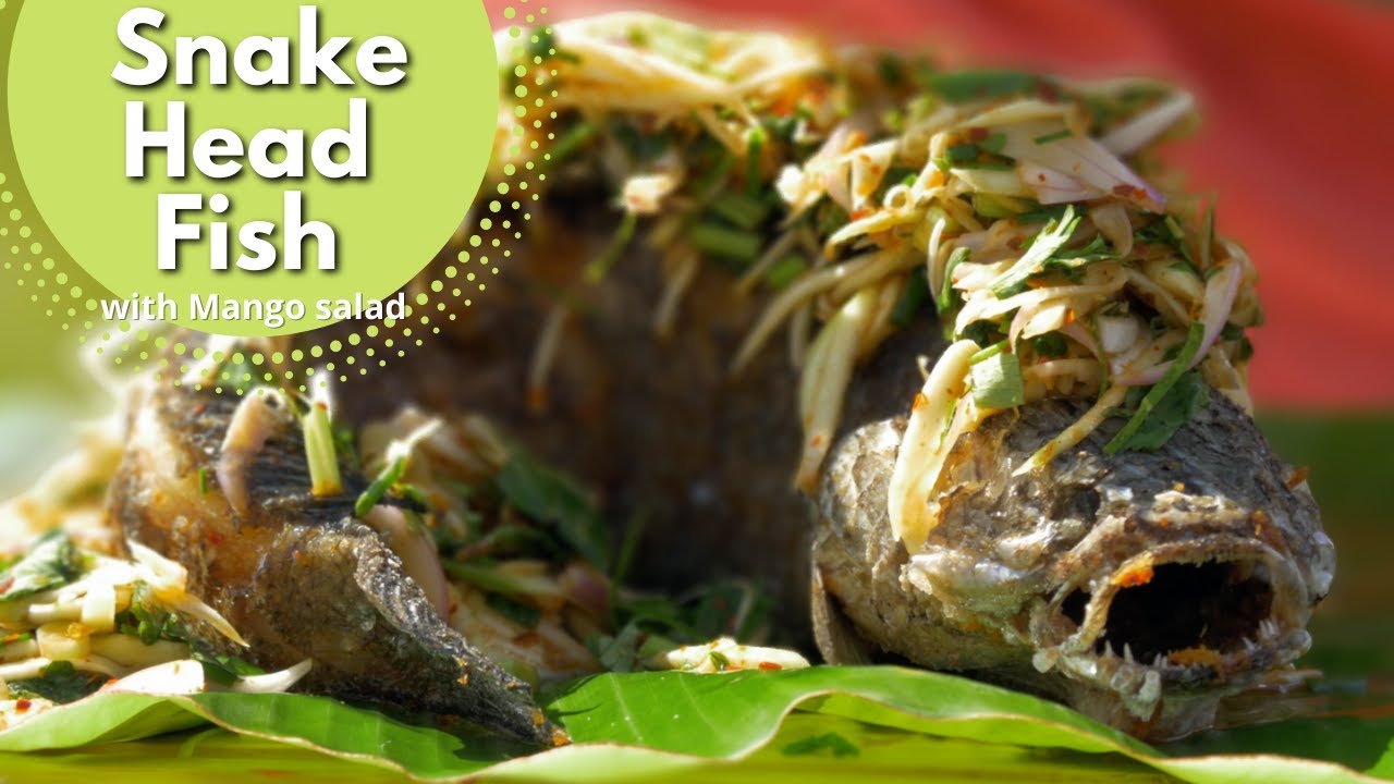 Snake Head fish with mango salad  สูตรปลาหัวงู