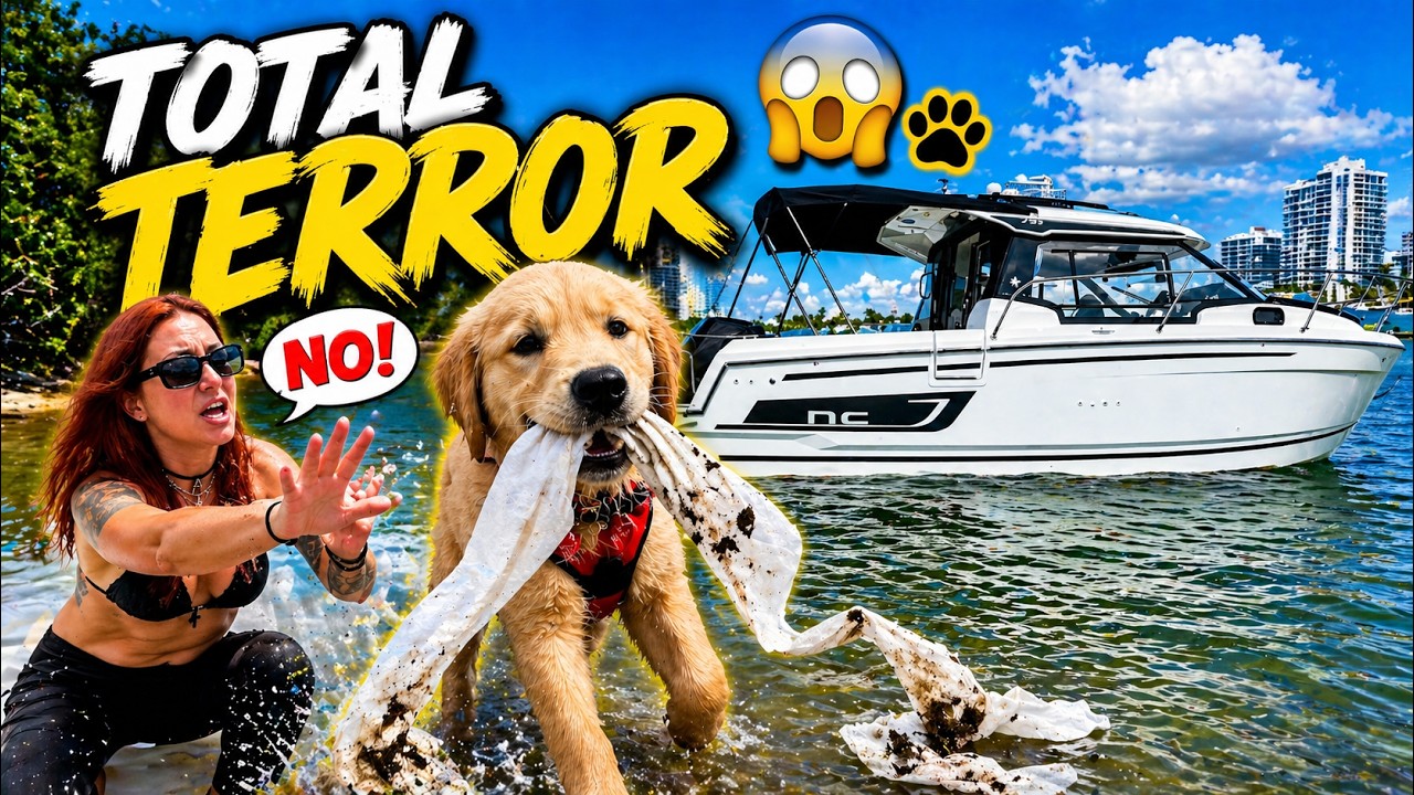 Jeanneau NC 795 Island Adventure with our pup 🐶🥰🤦🏻‍♀️