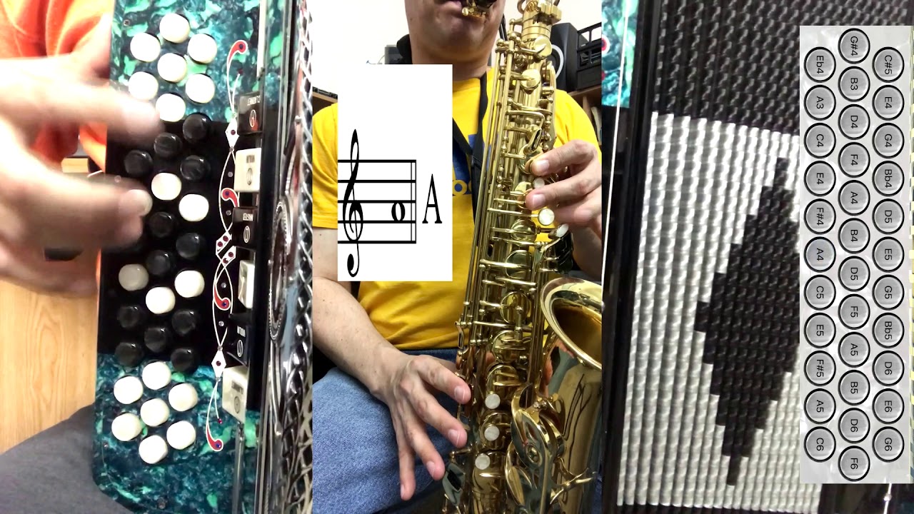 LA BURRA OREJONA ACORDEON Y SAX