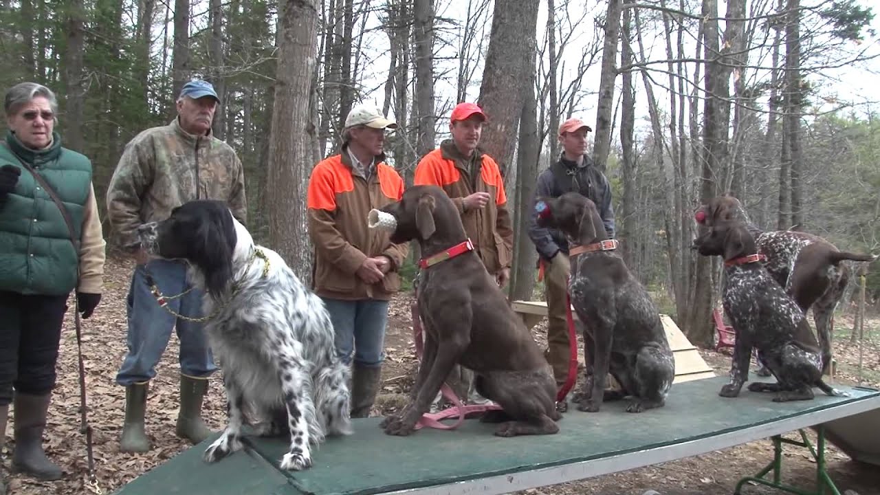 The Versatile Hunting Dog with Jason Carter Part 2