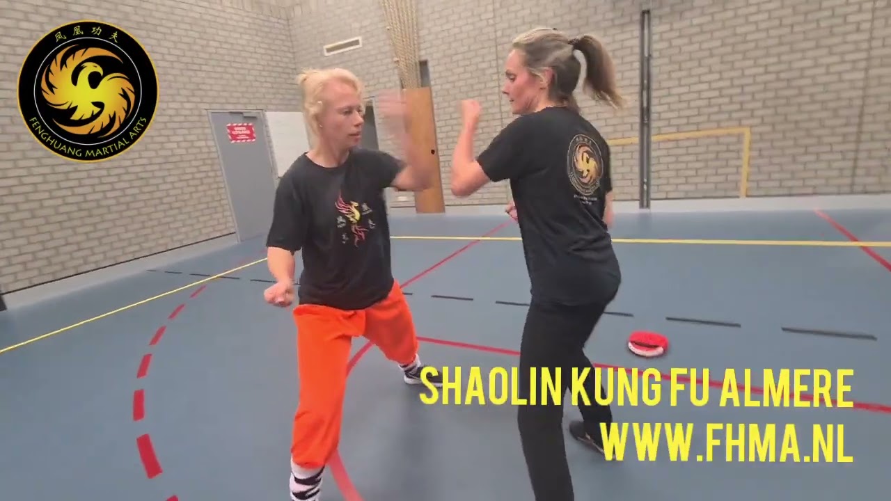 shaolin kung fu almere - pad training - martial arts