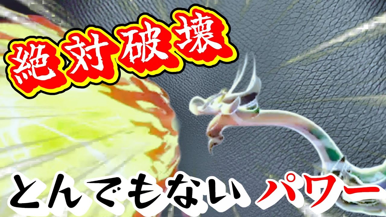 【ポケモンZA】絶対に相手を破壊するジジーロンが凄すぎた！【ランクマッチ・ランクバトル】