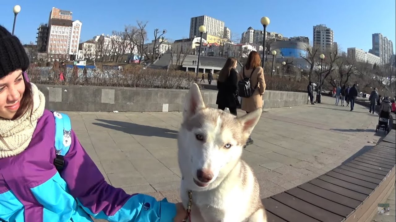 ВЛАДИВОСТОК Парк культуры и отдыха 