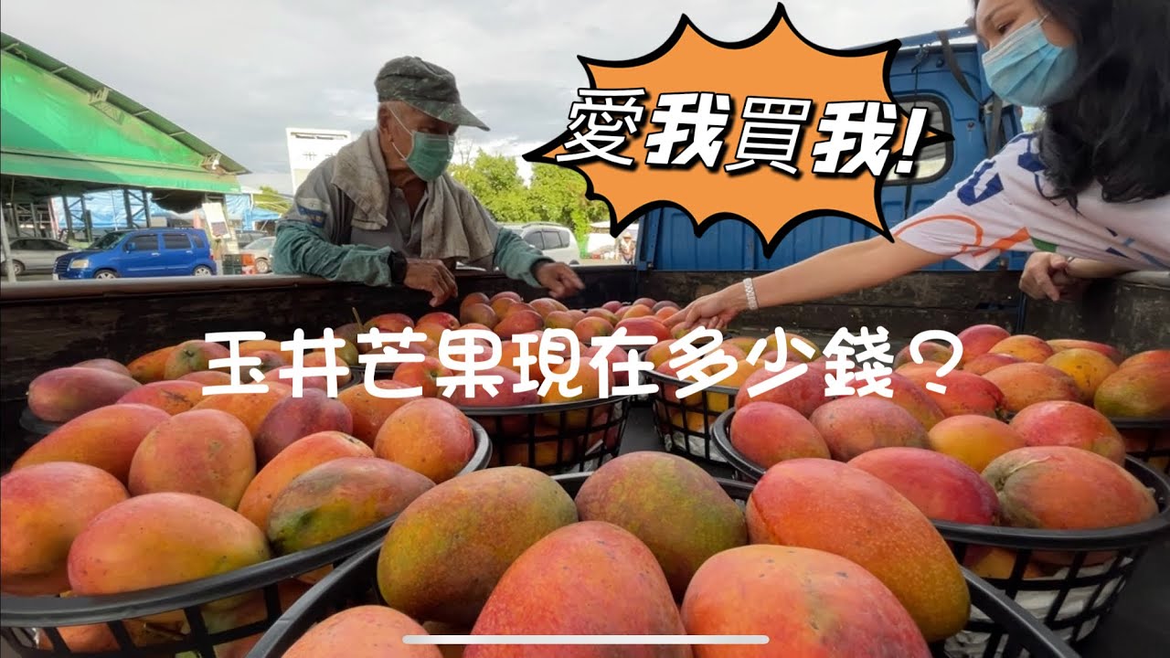 台南玉井芒果現價多少? 功夫版芒果切法 一次看個夠 公開2022年7月6日芒果價錢 前進玉井水果批發市場。支持台灣芒果! (TAIWAN WALK マンゴー) #mango #walking