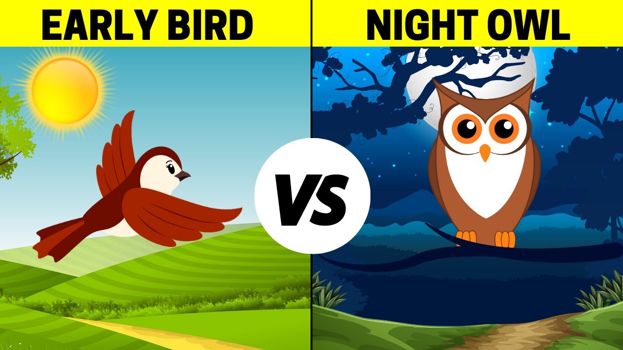 Early Birds vs Night Owls
