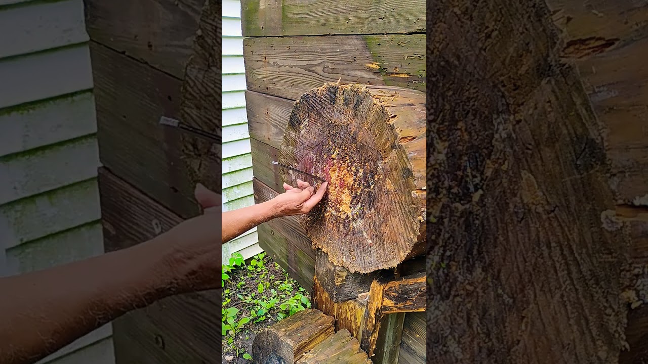 A trick for sticking a lightweight knife deeper at a longer distance #knifethrowing #short #fullspin