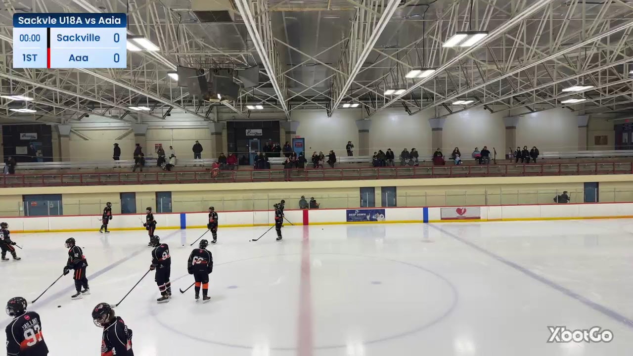 XbotGo Live Stream