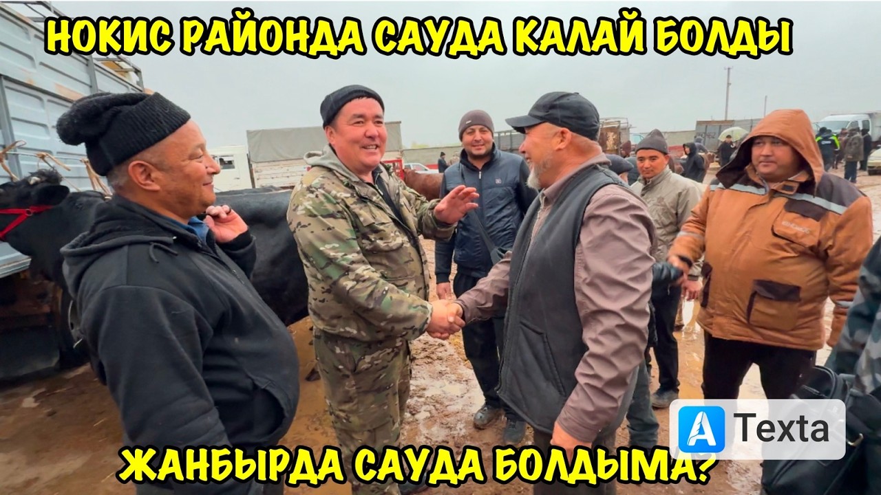 28-МАРТ/2026/НОКИС РАЙОН МАЛ БАЗАРЫ/МАЛ БАЗАР 2026/ДЕМ БЕРМЕС МАЛ БАЗАР/СКОТНЫЙ РЫНОК