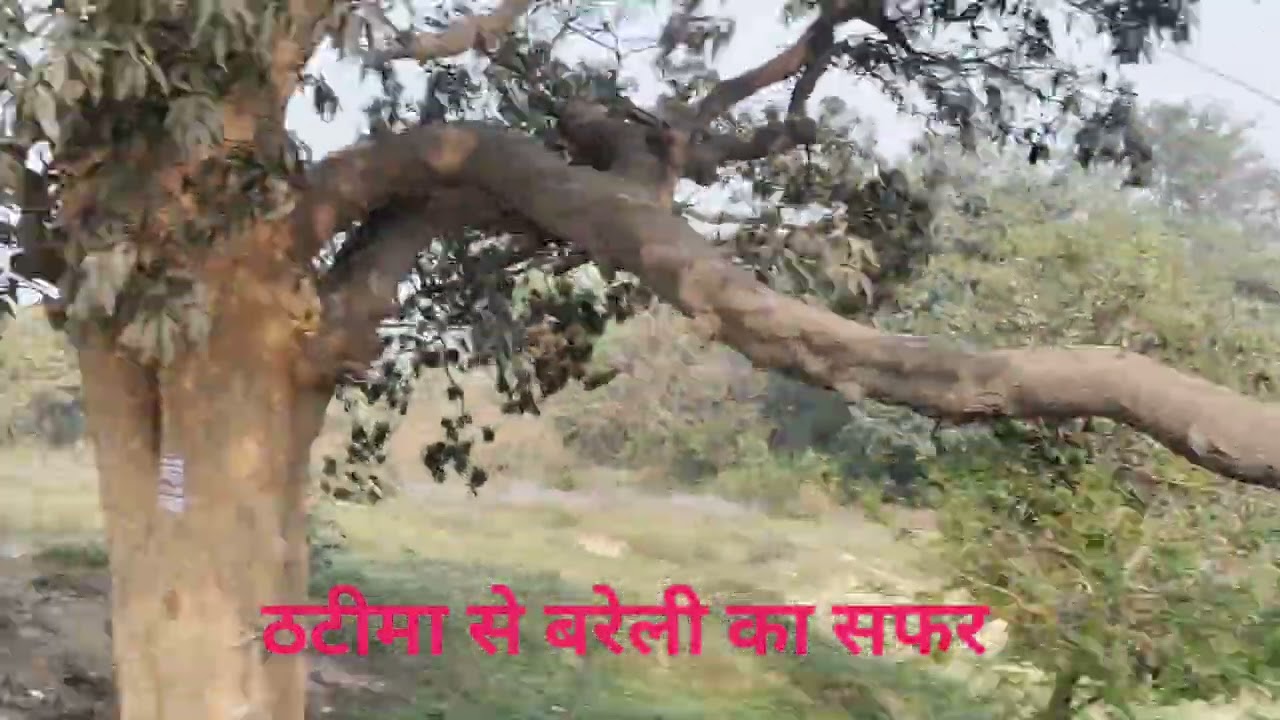 खटीमा से बरेली तक का सफर #आप लोग जरूर देखे 